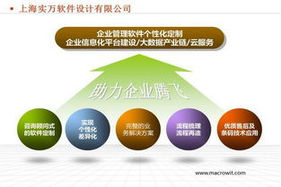 实万定制版称重标签条码打印软件在企业管理中的关键作用与咨询建议